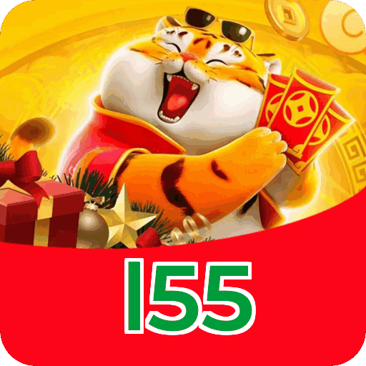 Verificação KYC l55